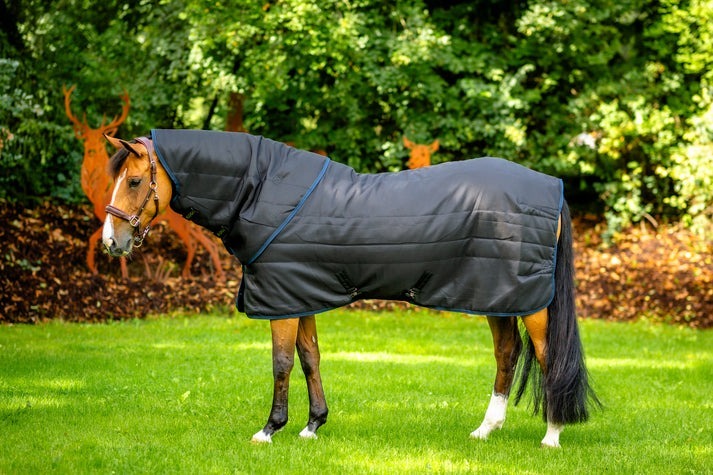 PRO STABLE 200G & HOOD