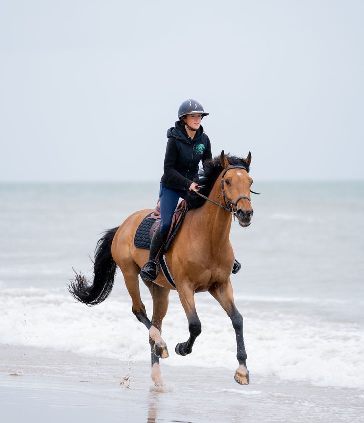 JUMPING SADDLE PAD with Embroidery