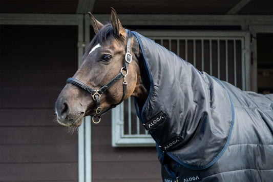 STABLE 2.0 HOOD 150G