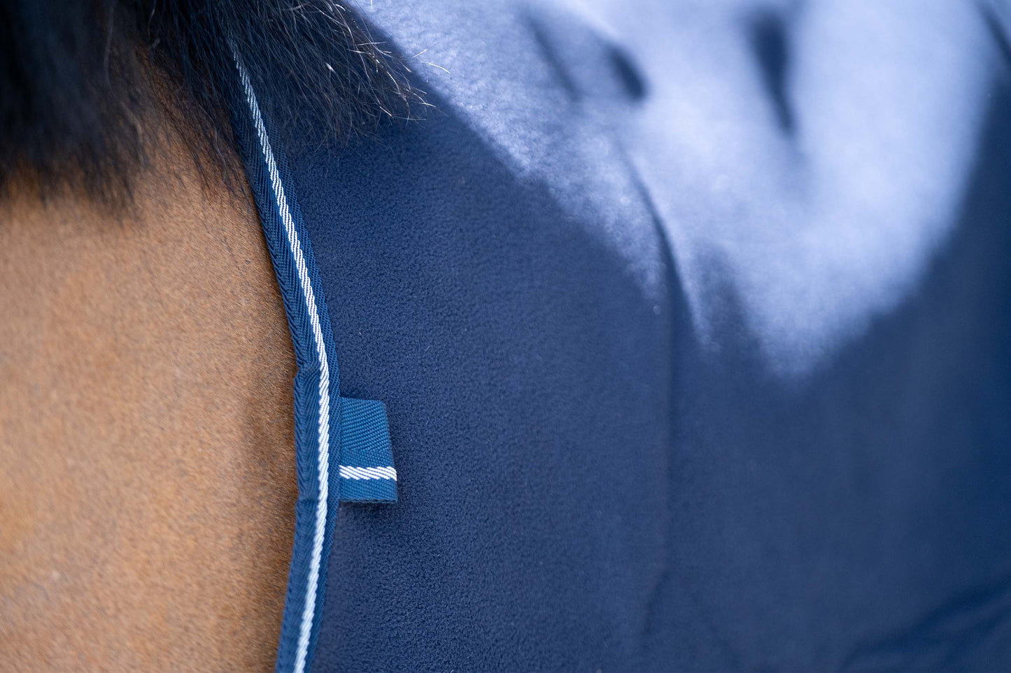 PONY PRO FLEECE