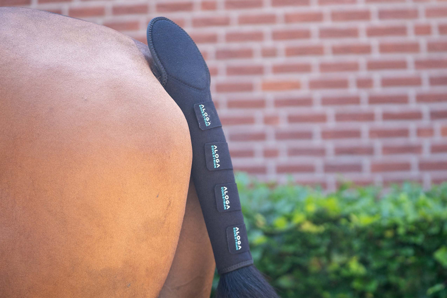 PRO TAIL GUARD