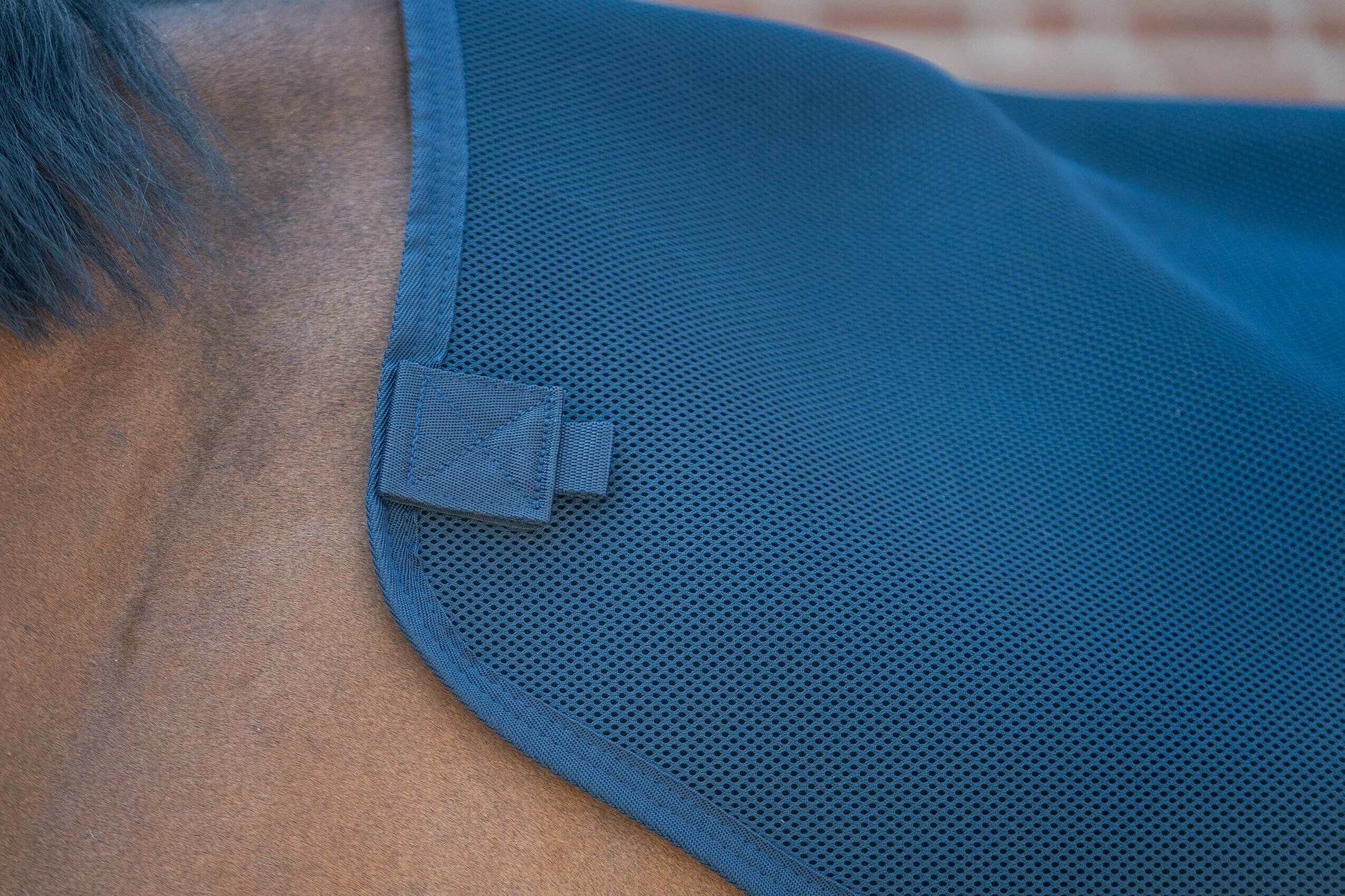 PONY TOP LINER MESH