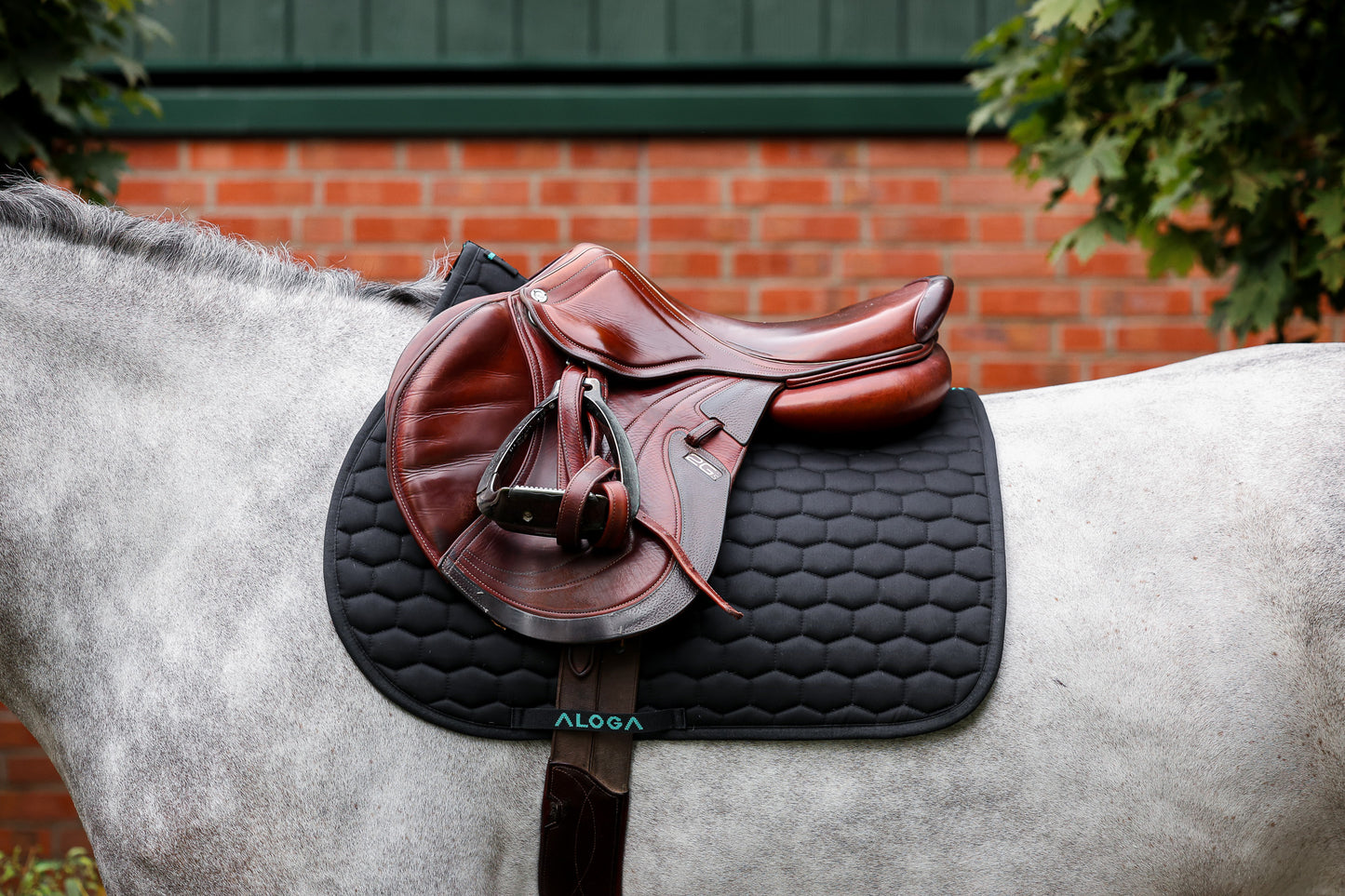 JUMPING SADDLE PAD without logo