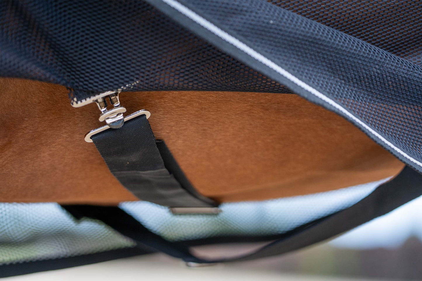 PRO TRAVEL COOLER