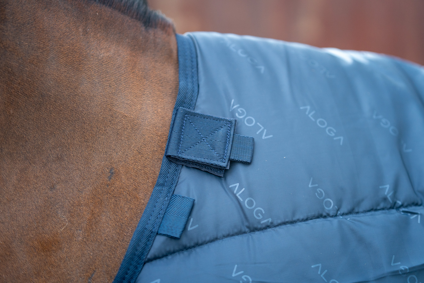 PONY LINER 350G