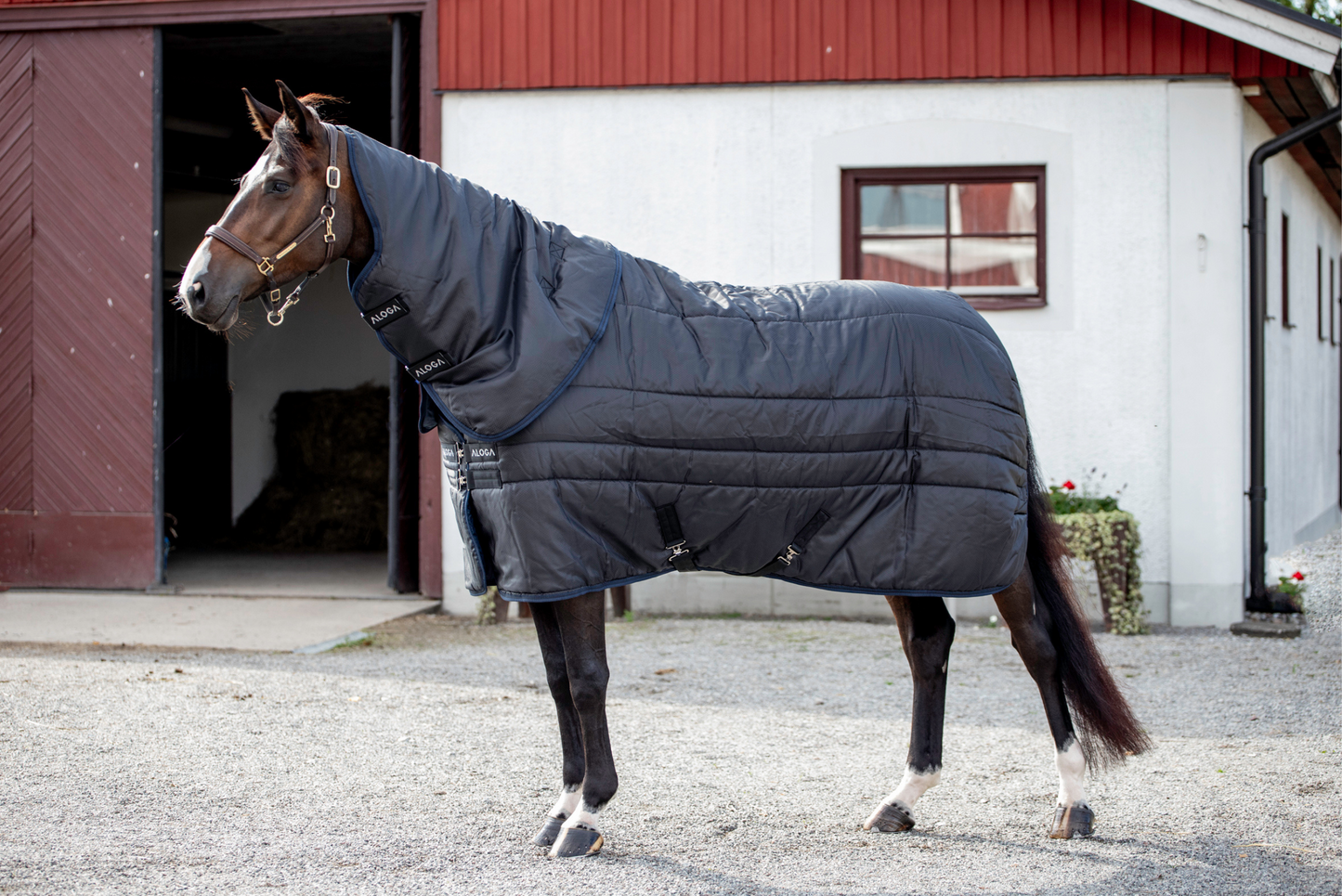 STABLE HOOD 2.0 150G