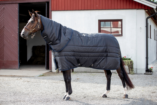 STABLE HOOD 2.0 150G