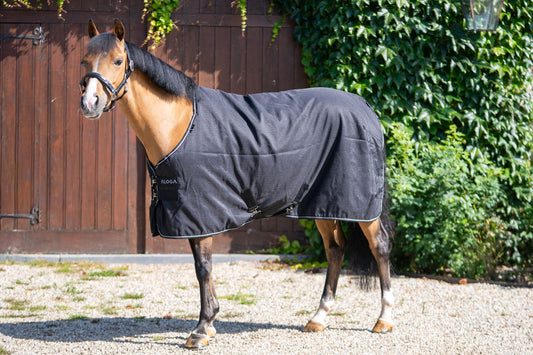 PONY PRO STABLE 0G