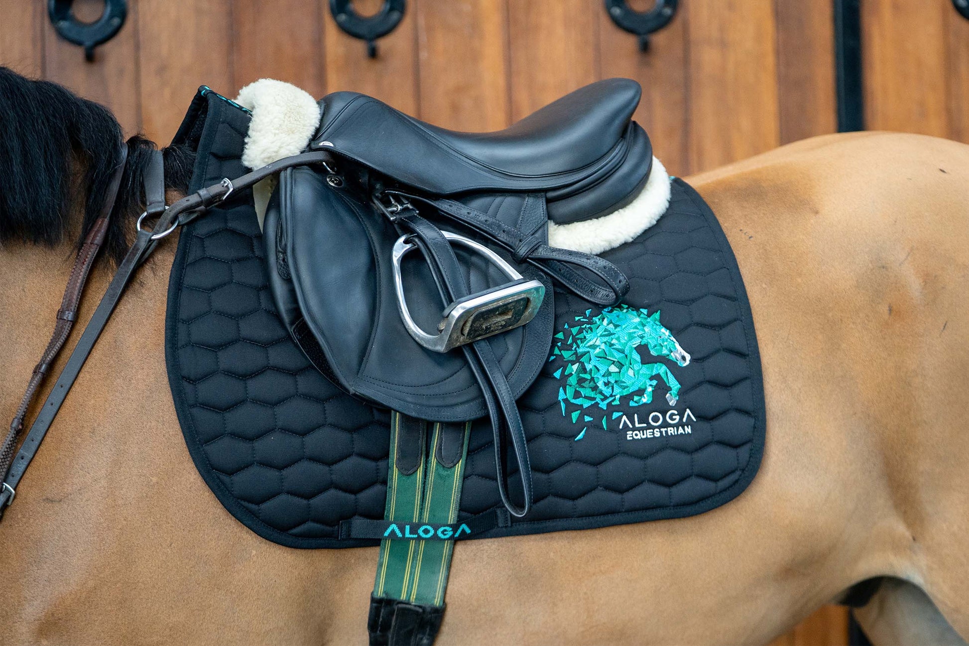 Black & Mint