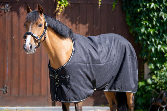 PONY PRO STABLE 0G
