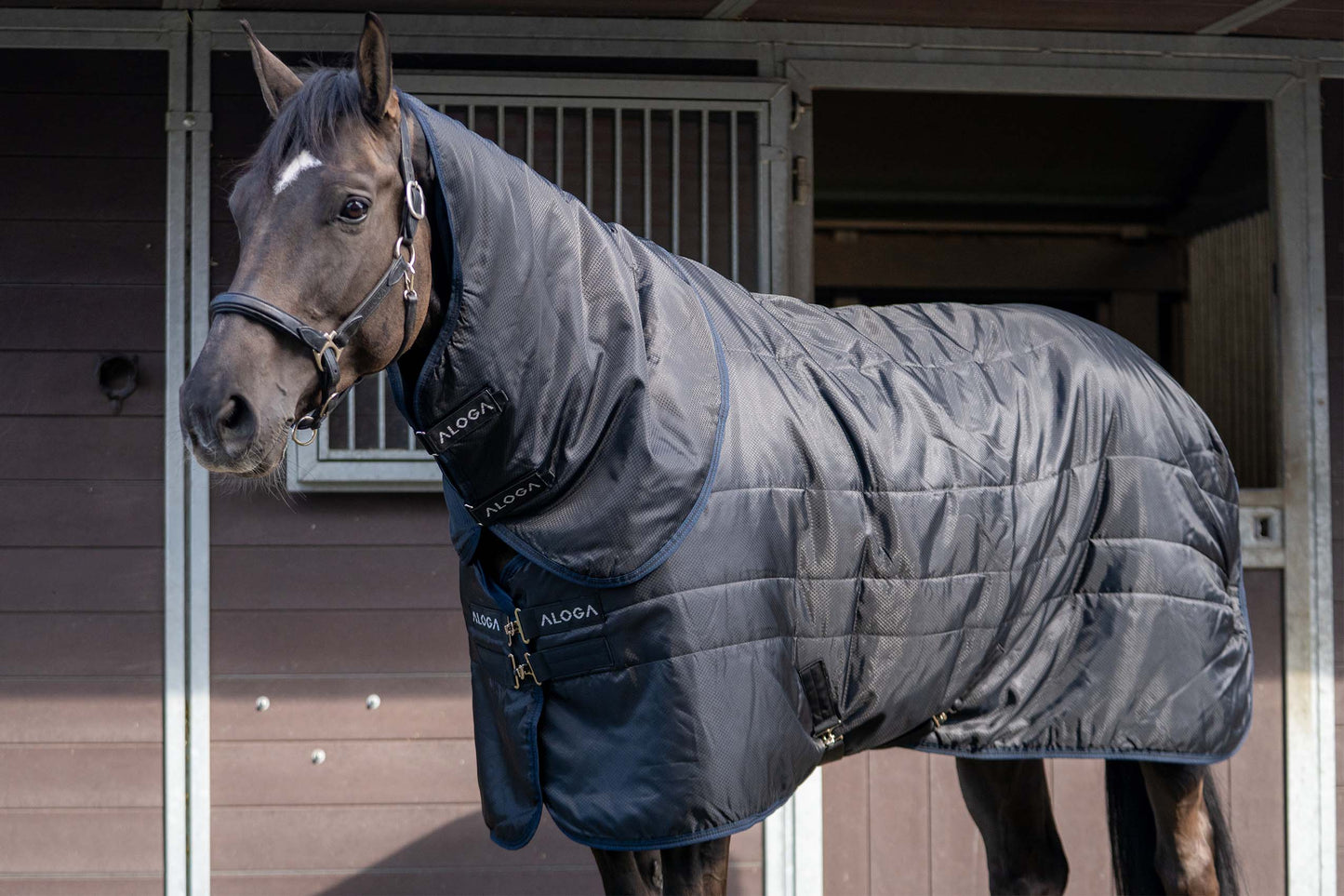 STABLE 2.0 HOOD 150G