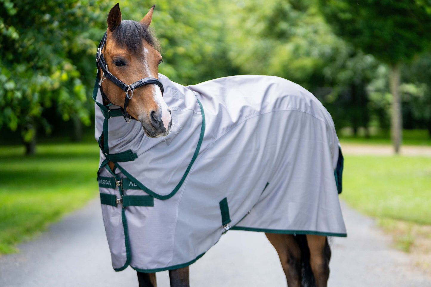 PONY FLY DRY SHEET 2.0