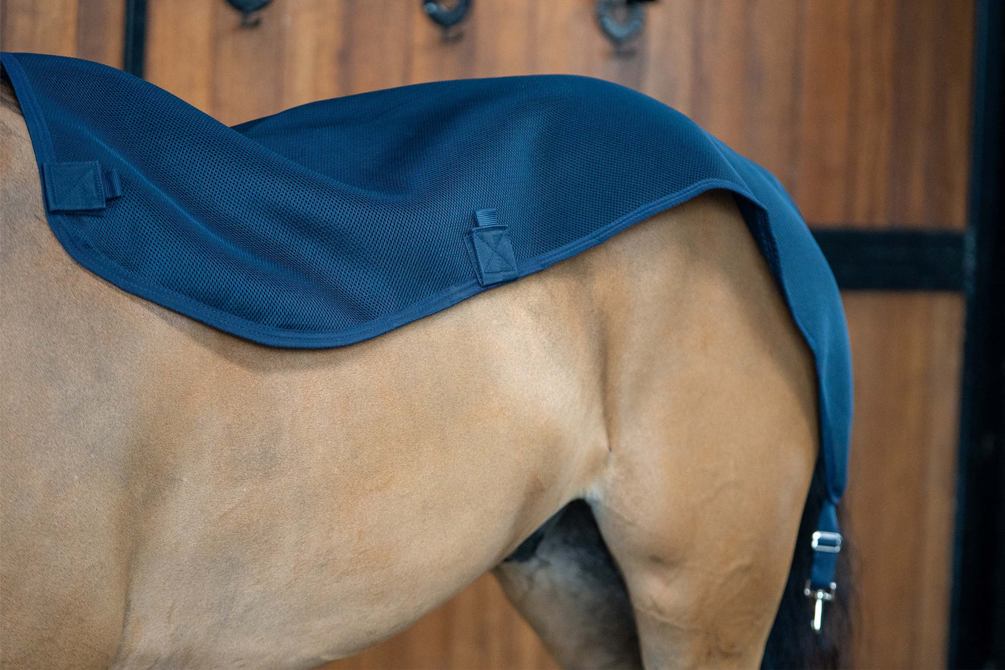 PONY TOP LINER MESH