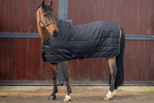 PONY PRO STABLE 0G