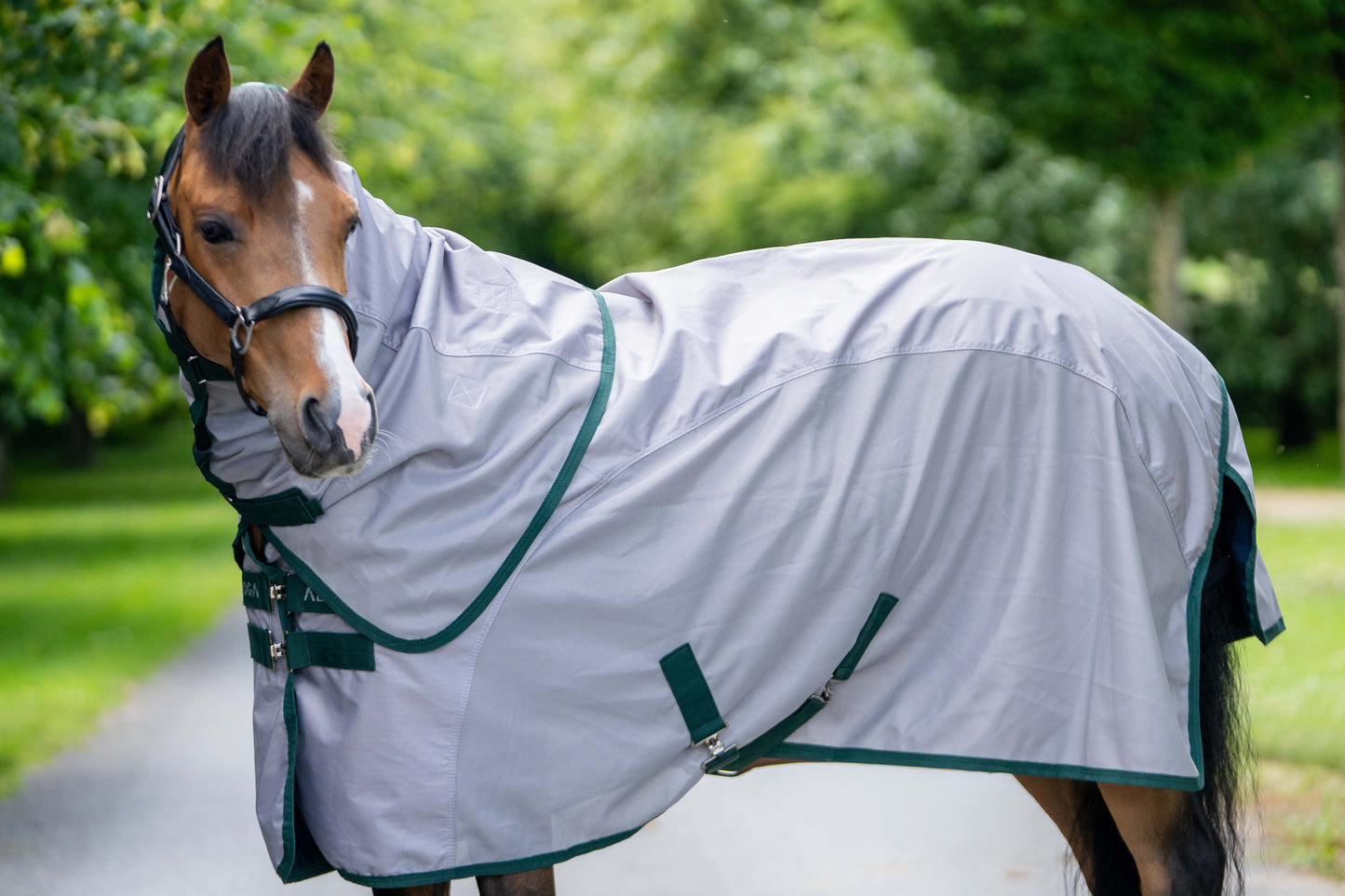PONY FLY DRY SHEET 2.0
