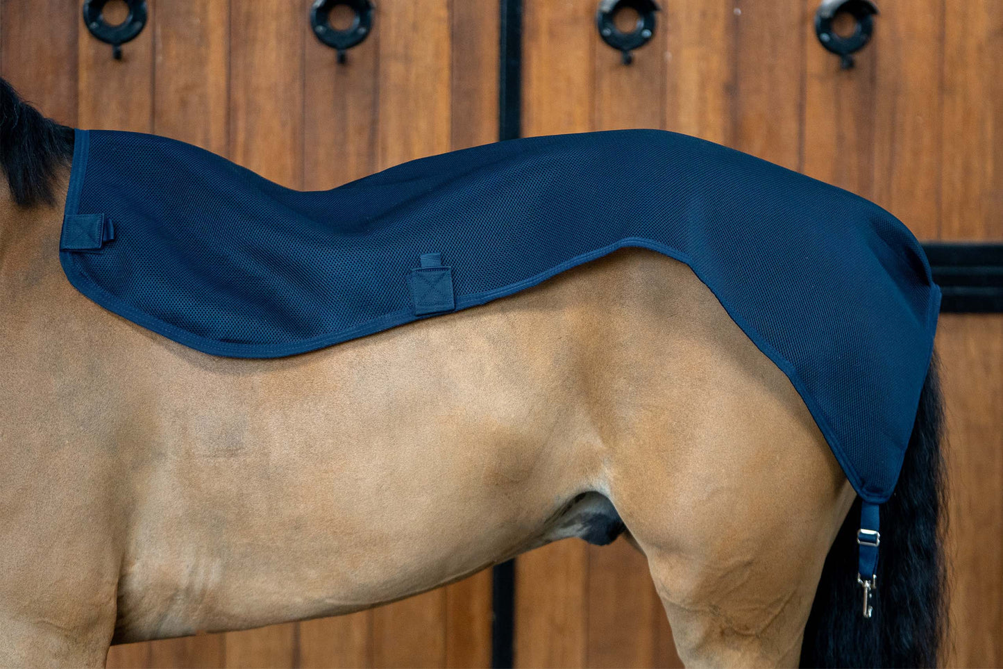 PONY TOP LINER MESH