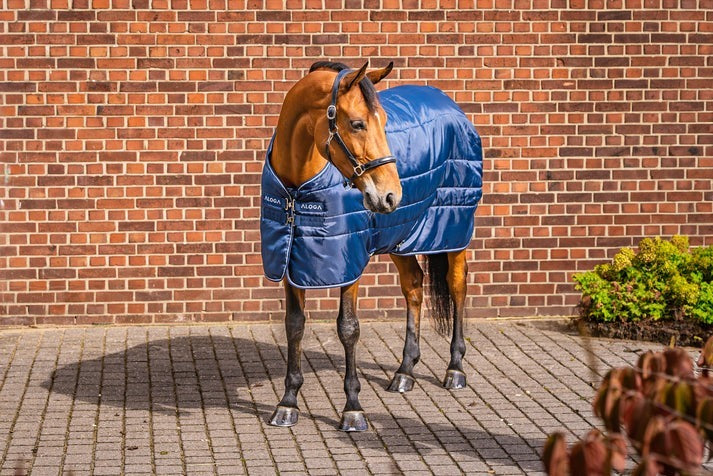 STABLE 150G