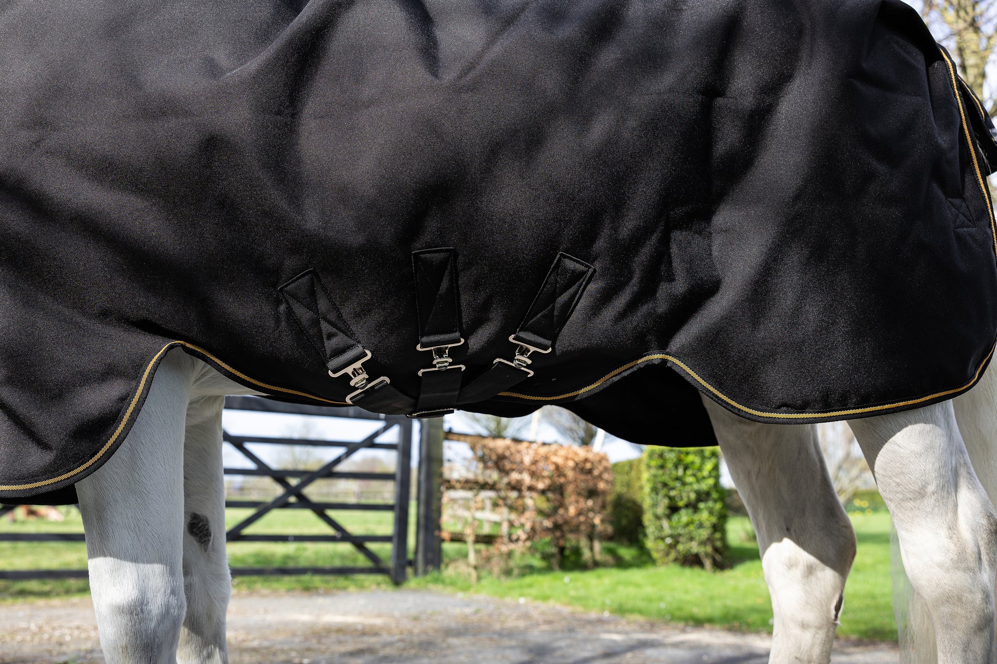Pony wearing a Aloga Pony Pro Turnout with leg arches.