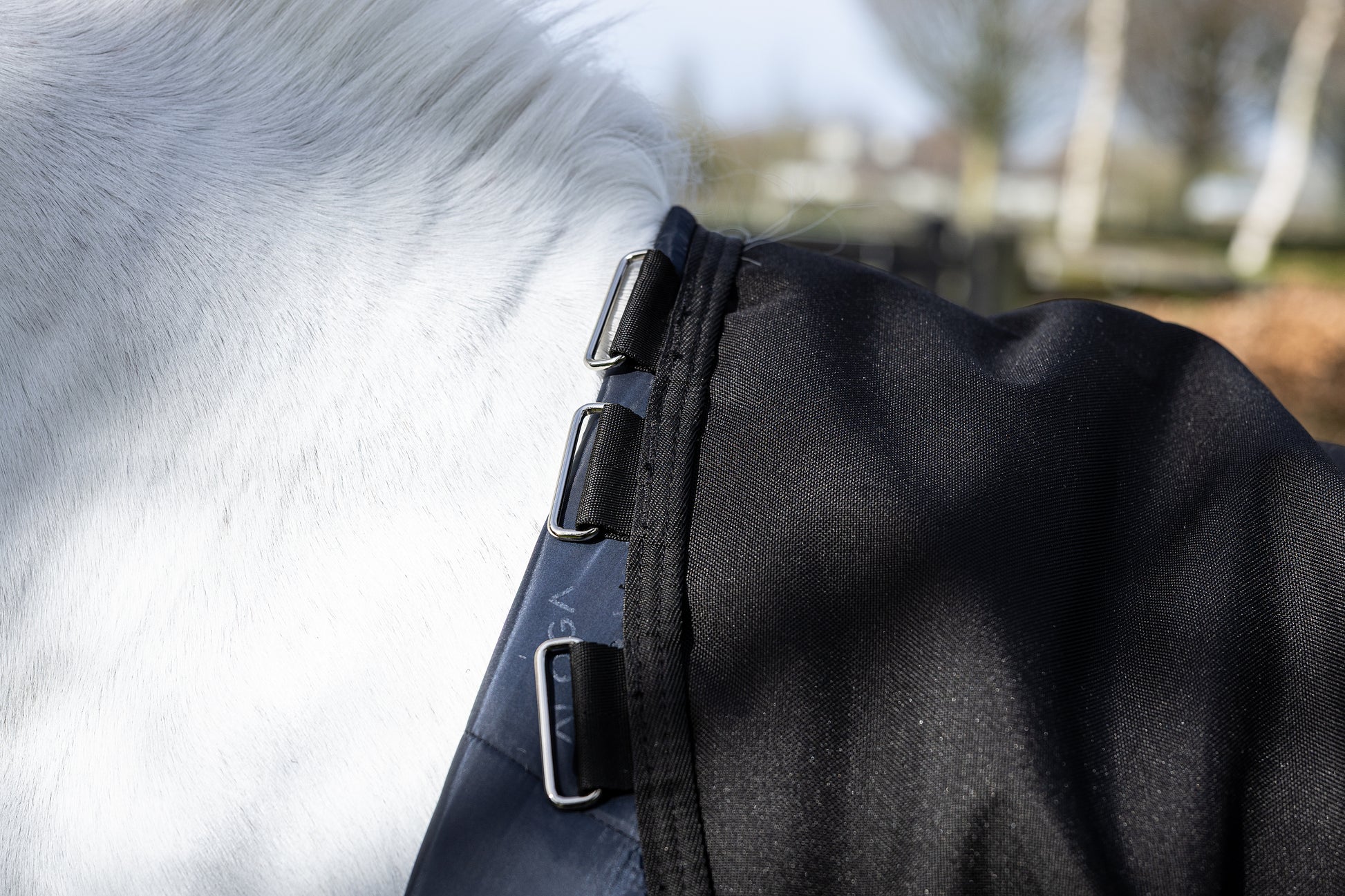 Close-up of a pony wearing a black Aloga Pony Pro Turnout with liner loops.