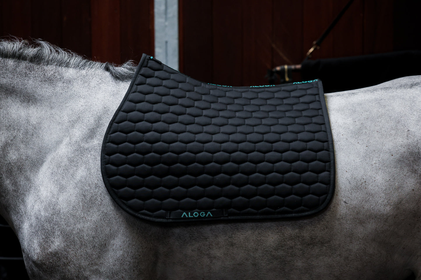 JUMPING SADDLE PAD without logo