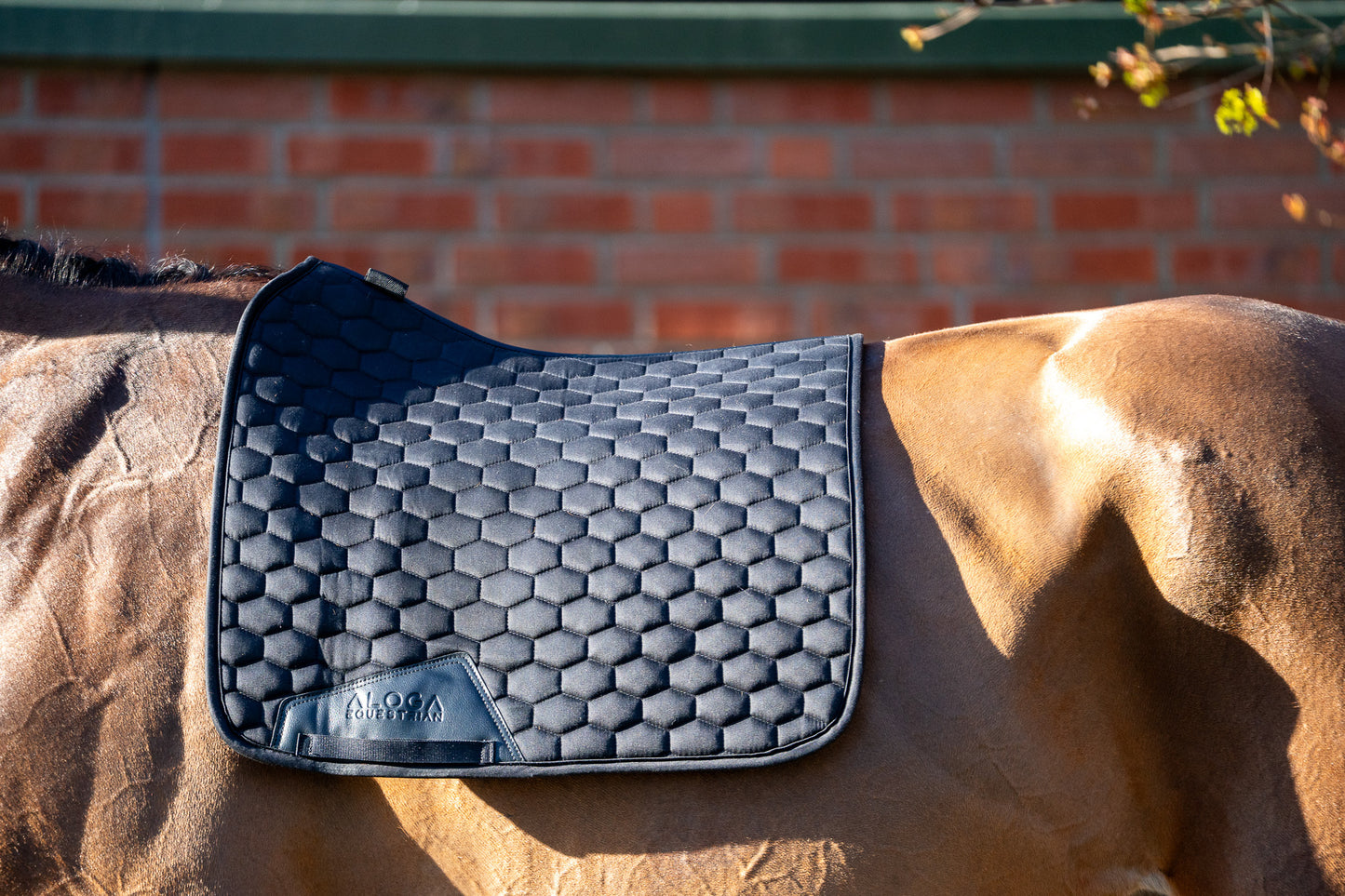 DRESSAGE SADDLE PAD