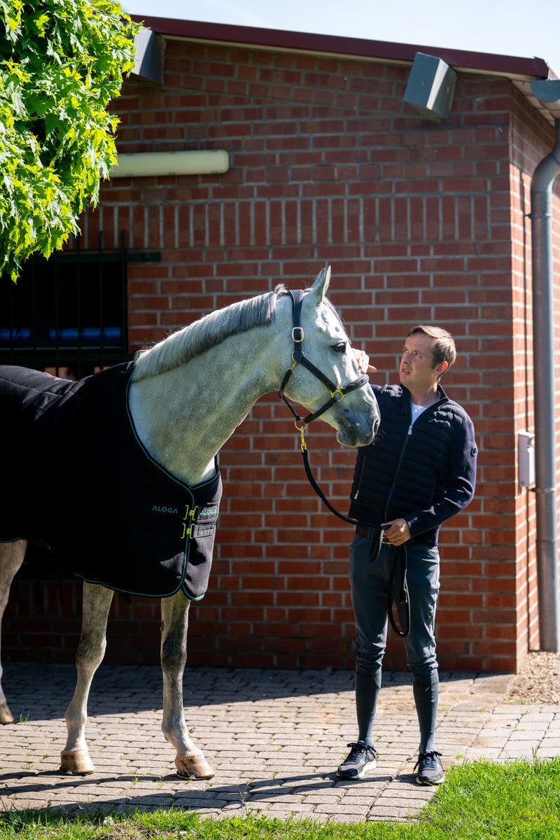 STALLDECKE PRO STABLE 200G