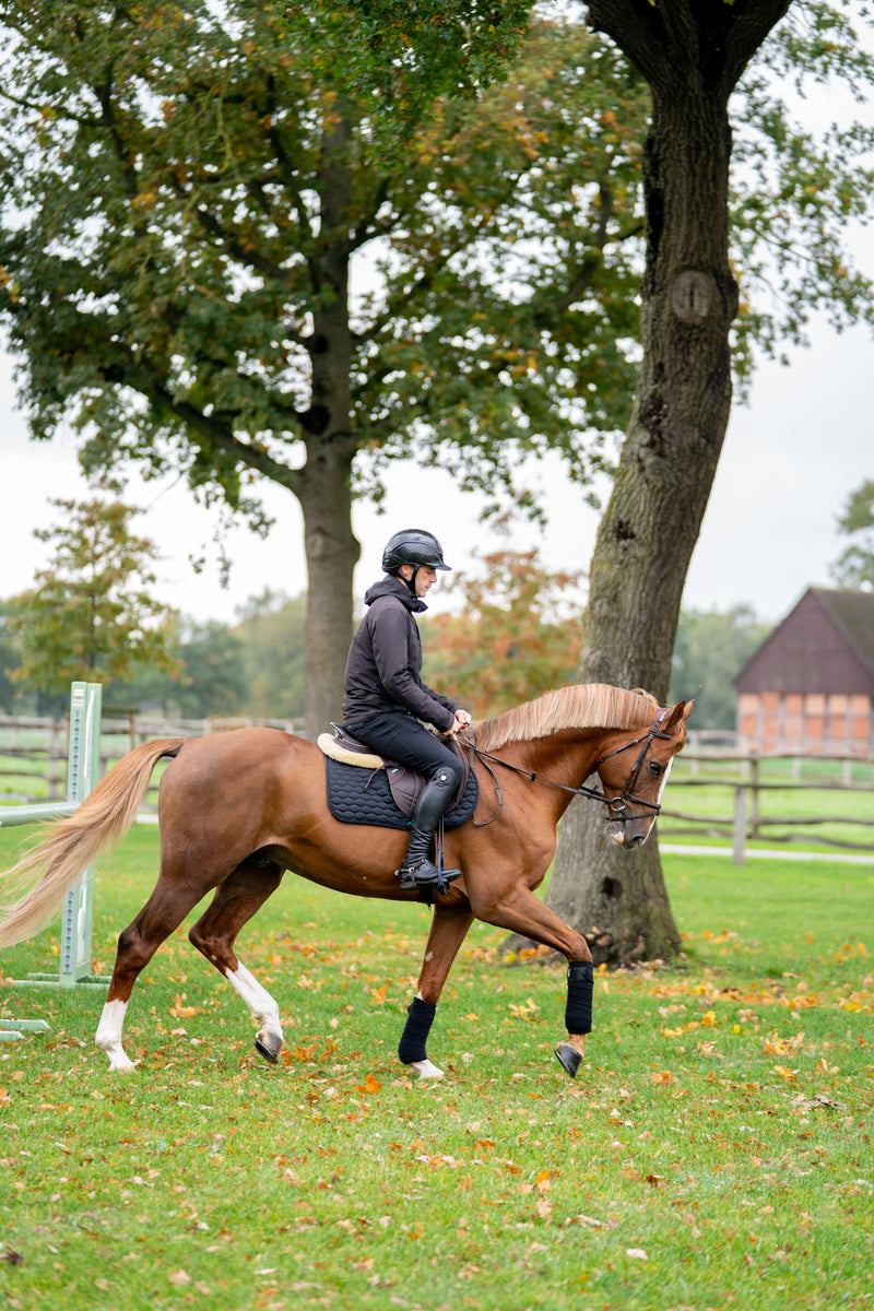 JUMPING SADDLE PAD with Embroidery