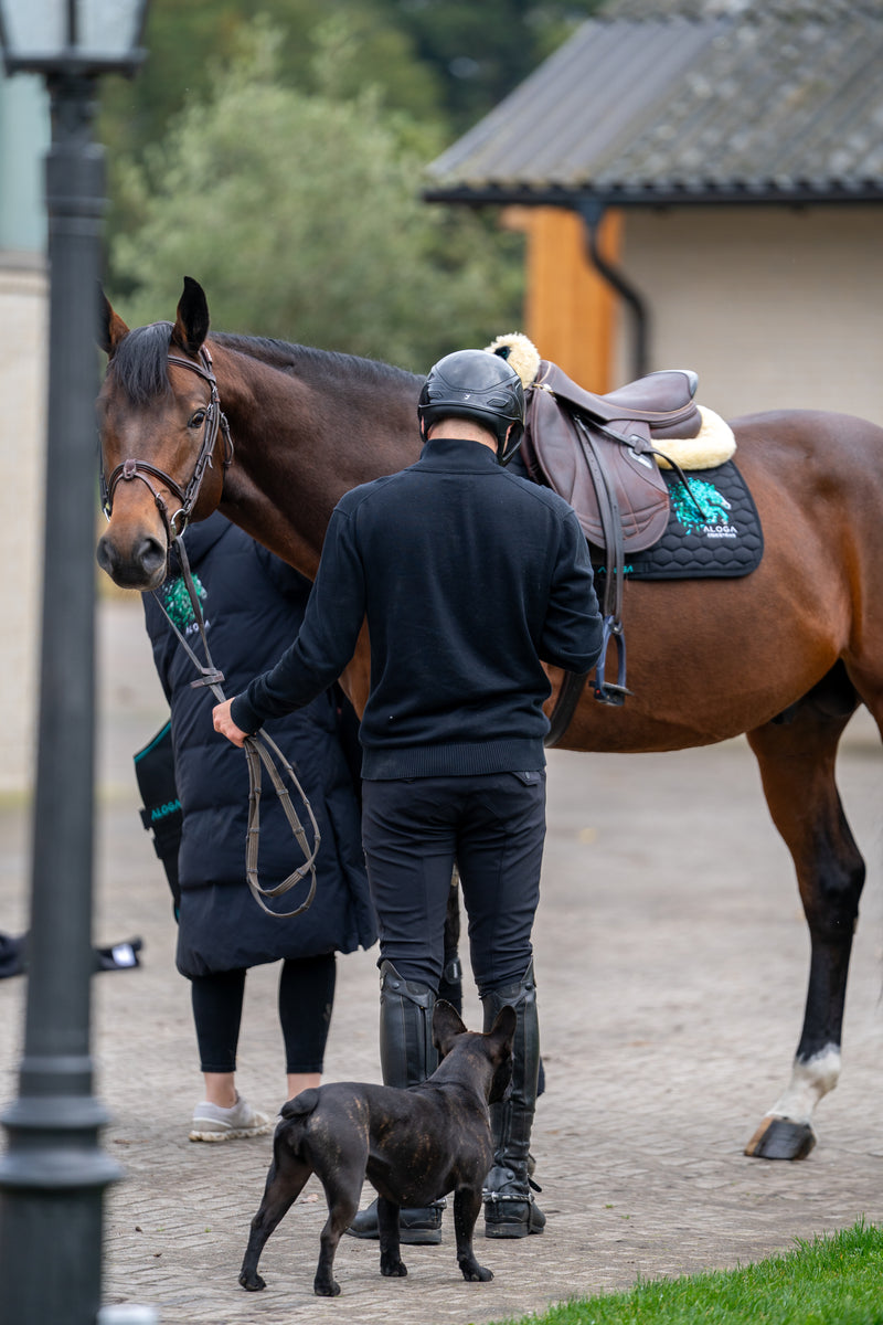 JUMPING SADDLE PAD with Embroidery
