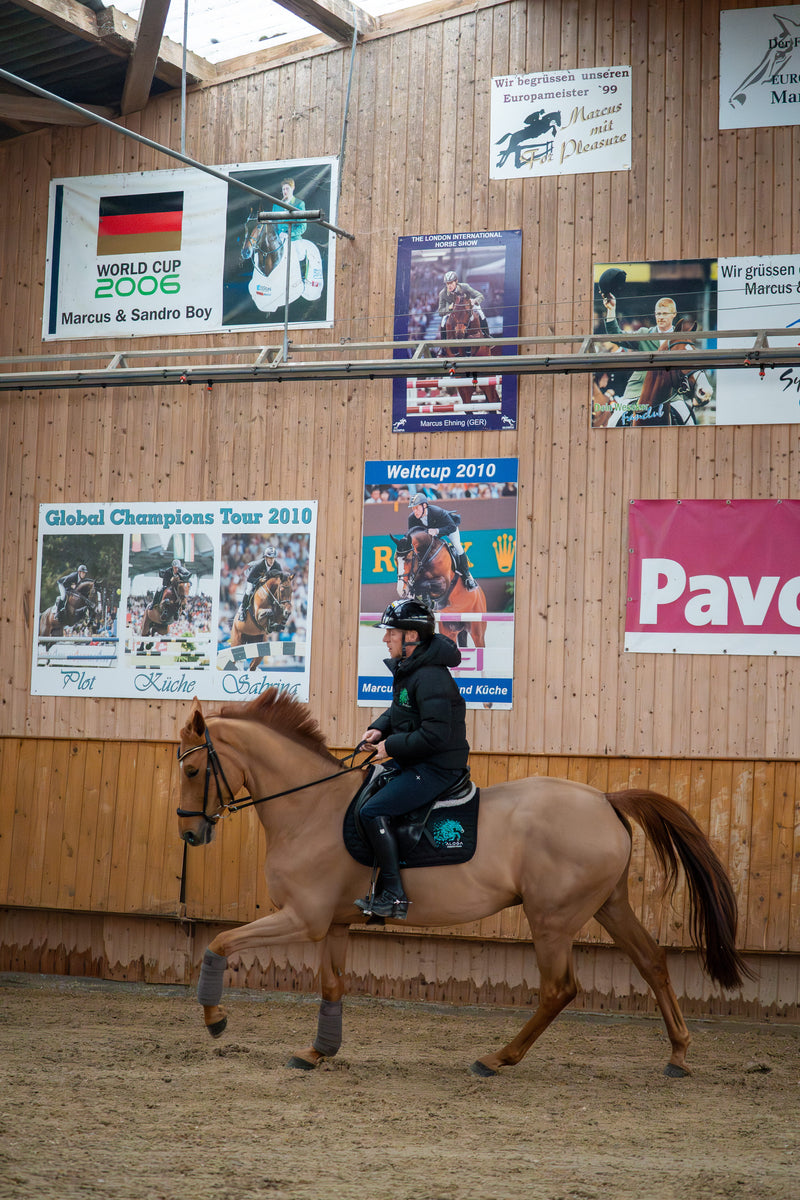SPRING SCHABRACKE MIT LOGO JUMPING SADDLE PAD WITH LOGO 