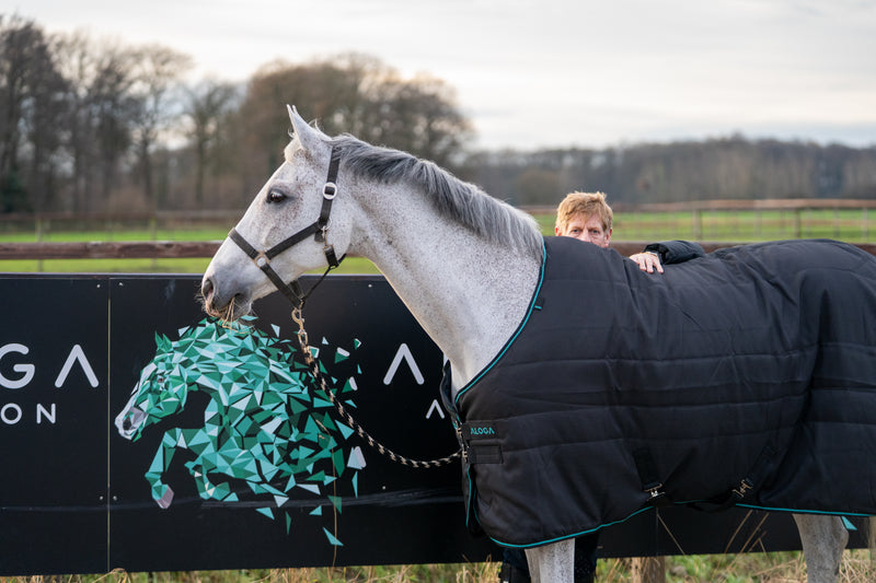 STALLDECKE PRO STABLE 200G