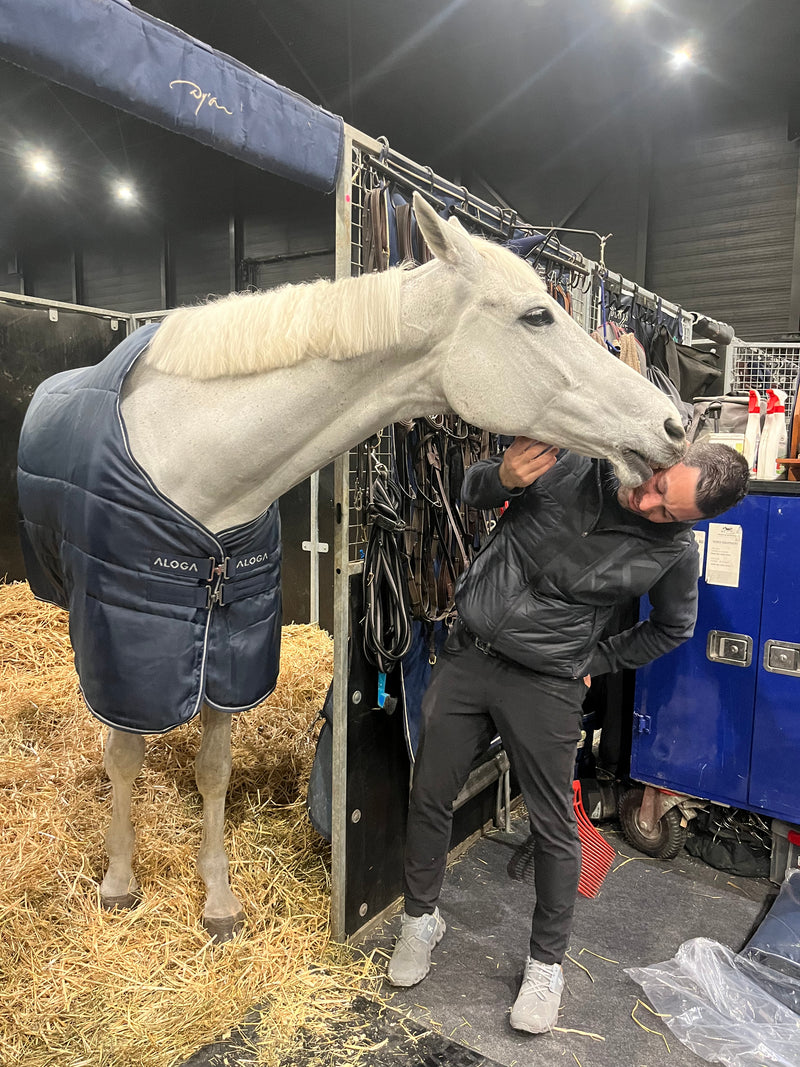 STALLDECKE PRO STABLE 200G