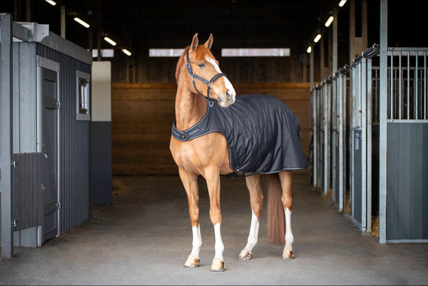 WALKER BLANKET - Aloga Equestrian