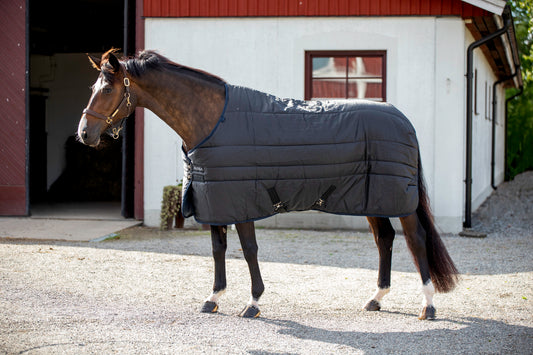 STABLE 2.0 300G