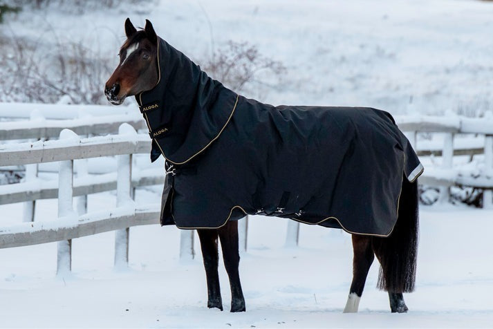 PRO TURNOUT 350G & HOOD