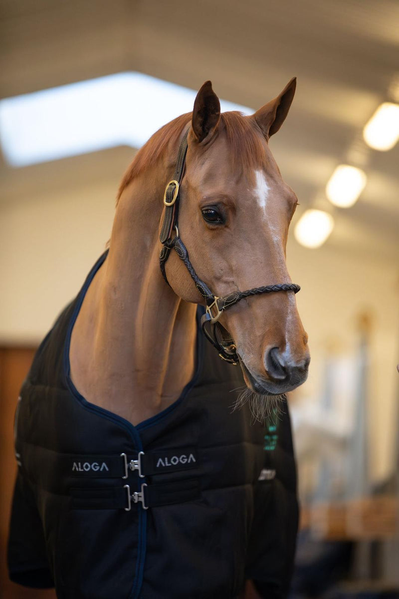 STALLDECKE PRO STABLE 200G