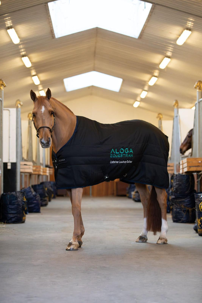 STALLDECKE PRO STABLE 200G