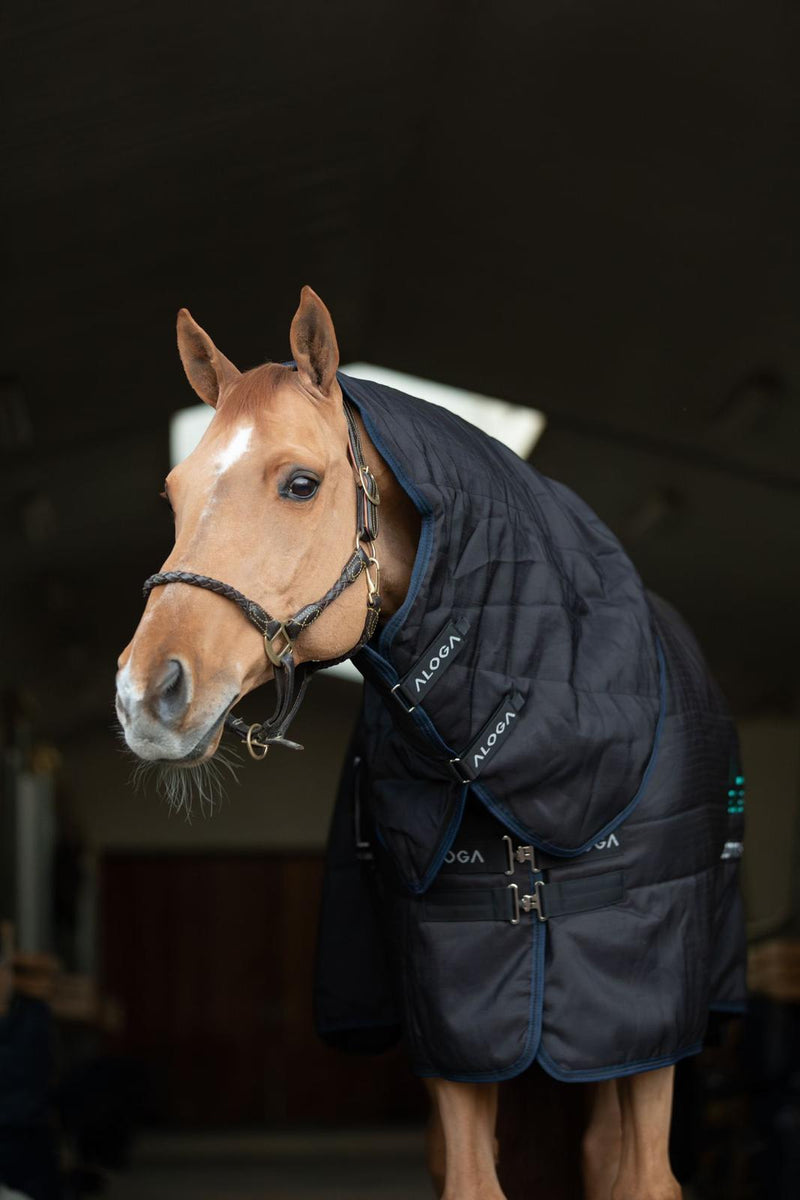 STALLDECKE PRO STABLE 200G