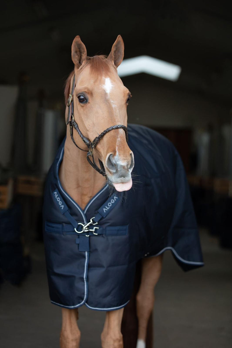 OUTDOORECKE MIT HALSTEIL PRO TURNOUT 200G & HOOD