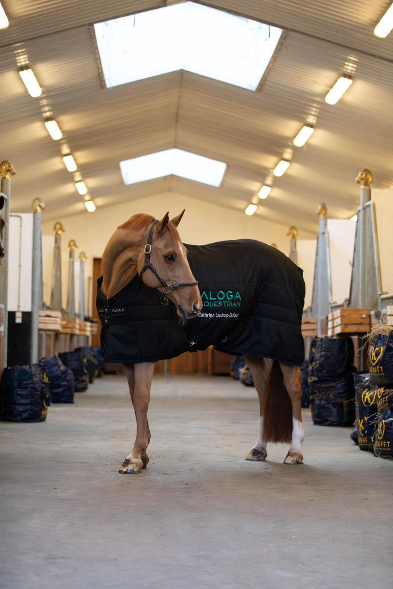STALLDECKE PRO STABLE 200G