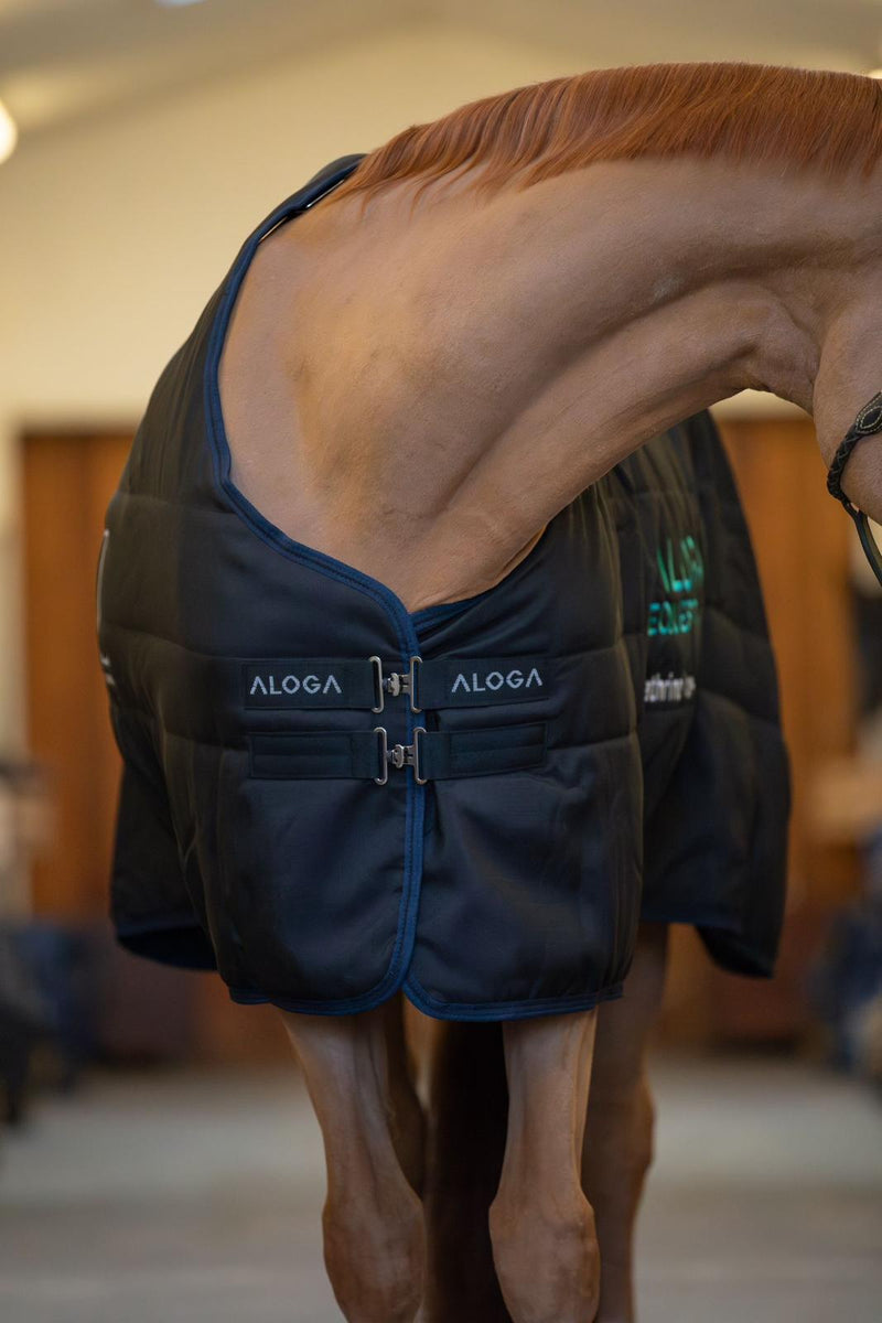 STALLDECKE PRO STABLE 200G