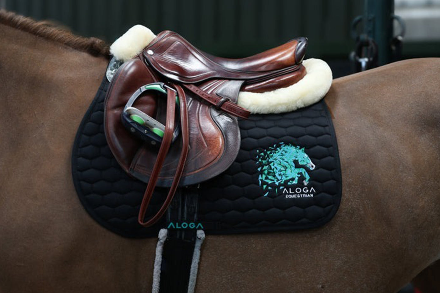 Black & Mint