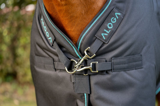 Black & Mint