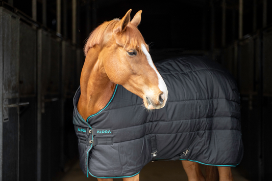 PRO STABLE 200G