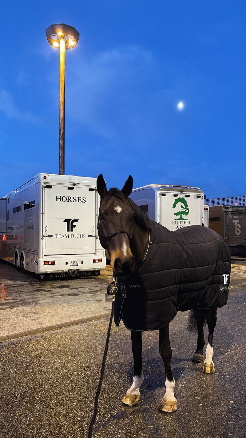 STALLDECKE PRO STABLE 200G