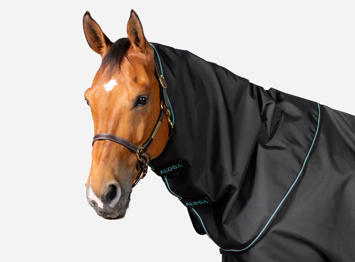 PRO TURNOUT HOOD 0G