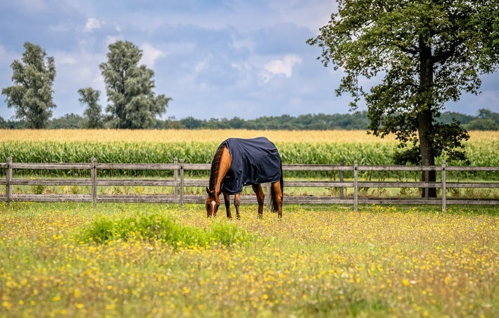 OUTDOORDECKE TURNOUT 0G