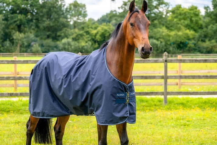 OUTDOORDECKE TURNOUT 0G