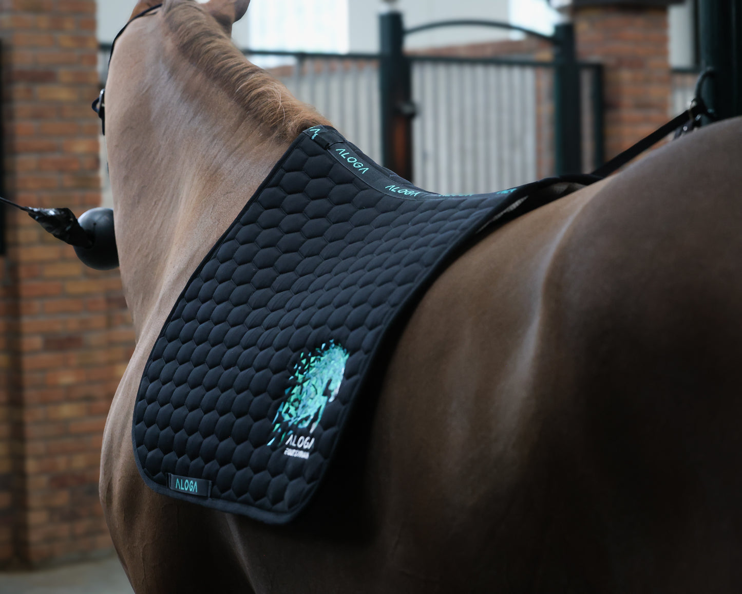 JUMPING SADDLE PAD