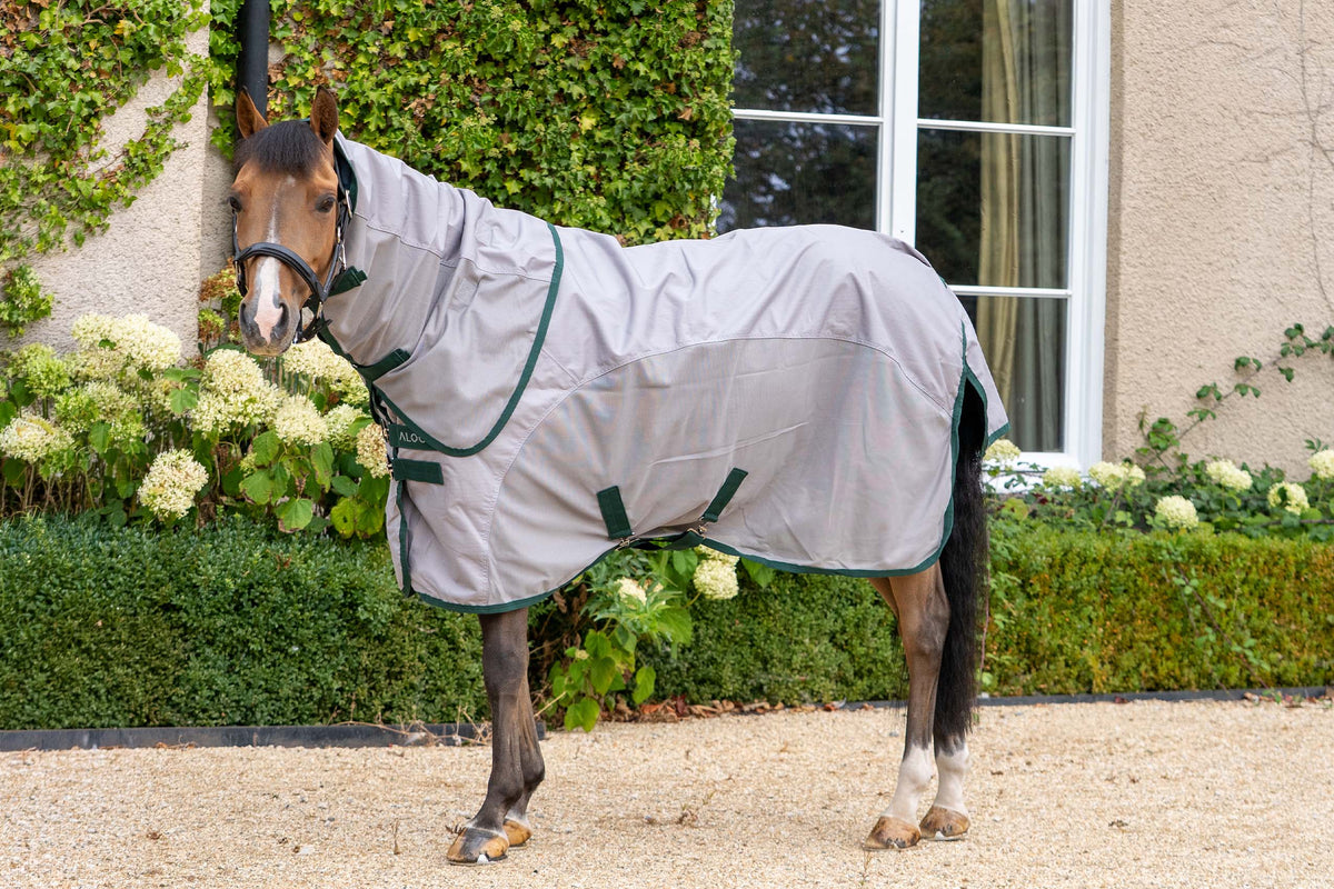 REGEN FLIEGENDECKE PONY FLY DRY SHEET 2.0