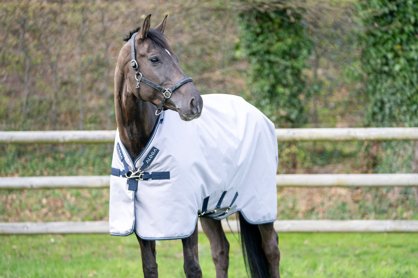 OUTDOORDECKE PRO TURNOUT 50G